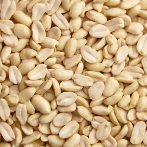 Blanched Groundnut Split